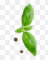 Formaggi Freschi Unu0027esperienza Italiana - Casa Radicci Emoji,Green Emojis Nature
