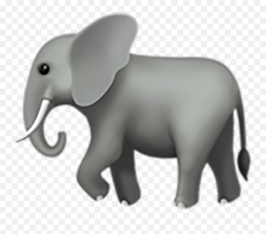 Elephant Emoji Copy Paste,Tulip Emoji
