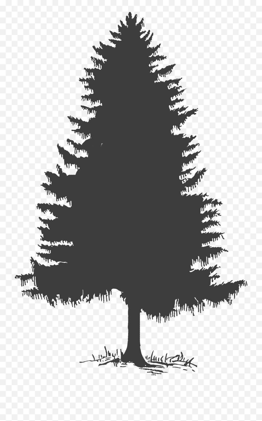 Clipart Trees Pine Clipart Trees Pine Transparent Free For - Black Pine Tree Painting Emoji,Pine Tree Emoji