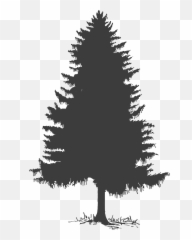 Clipart Trees Pine Clipart Trees Pine Transparent Free For - Black Pine Tree Painting Emoji,Pine Tree Emoji