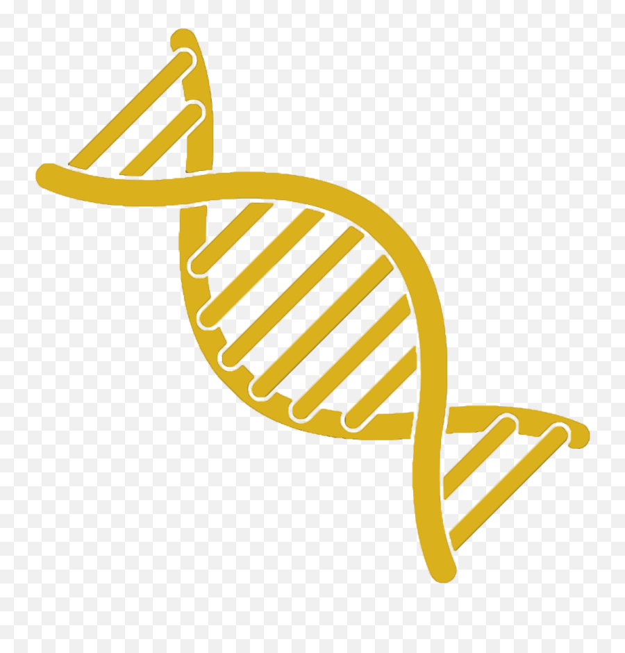 How To Submit Dna Tests - Dna Strand Clipart Emoji,Emoticon Dna Strand