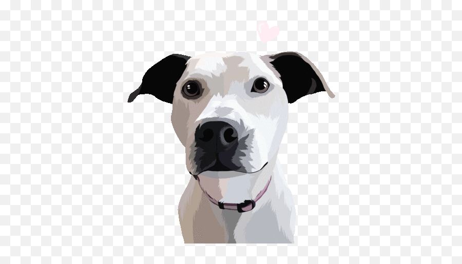 At The Animal Shelter Baamboozle - Martingale Emoji,Dog Ptbull Emojis