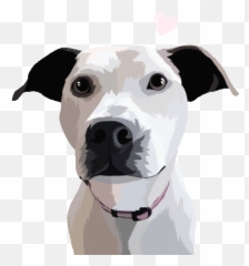 At The Animal Shelter Baamboozle - Martingale Emoji,Dog Ptbull Emojis
