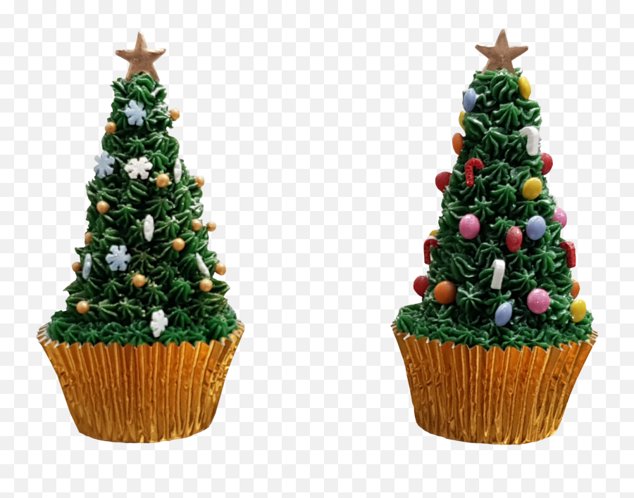 Available Courses U2013 Me Shell Cakes - Christmas Tree Cupcakes In Png Emoji,Fishcake Emoticon
