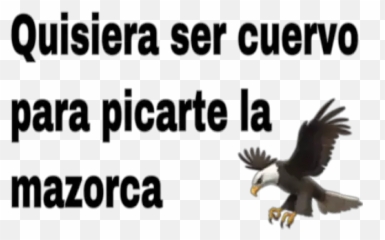 Frases Piropos Hot Stickers For Whatsapp - Piropos Para Mi Novia Hot Emoji,Android Emojis Kite