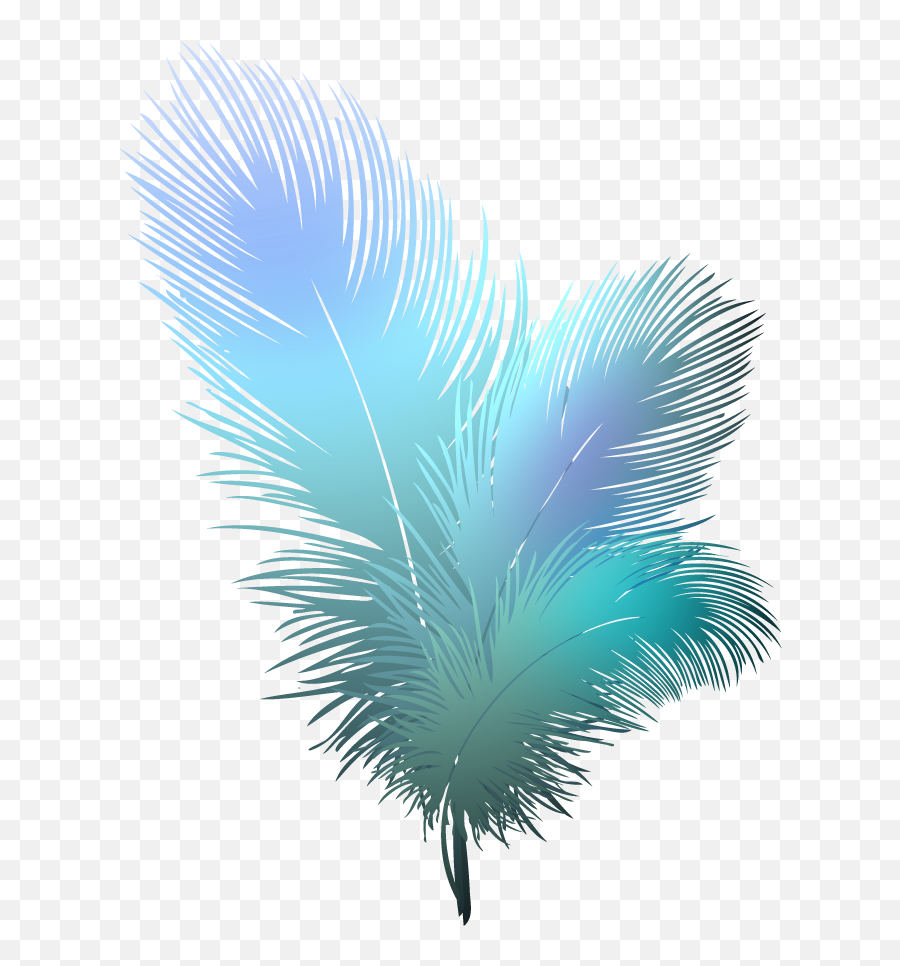 Image V51 Png Peacock Feather W3483137148 - Transparent Transparent Background Feather Emoji,Peacock Feather Ascii Emoticon
