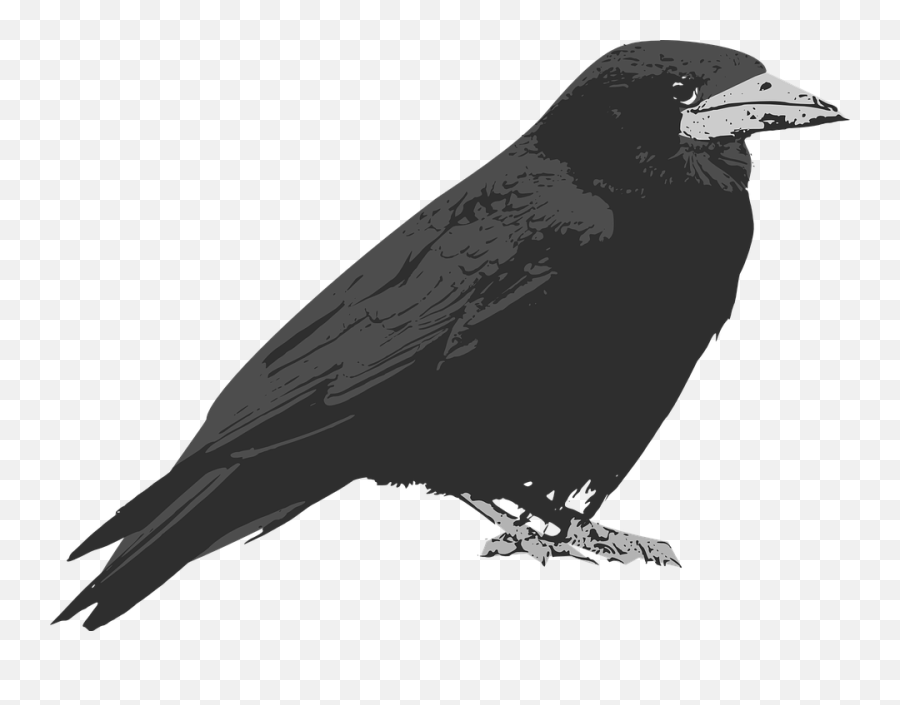Raven Clipart - Cartoon Raven Bird Transparent Emoji,Raven Bird Emoji