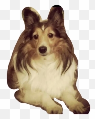 Sheltie Sticker - Northern Breed Group Emoji,Sheltie Emoji