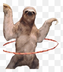 Funny Sloth Png U0026 Free Funny Slothpng Transparent Images - Pygmy Three Toed Sloth Png Emoji,Kakao Emoticon Limit