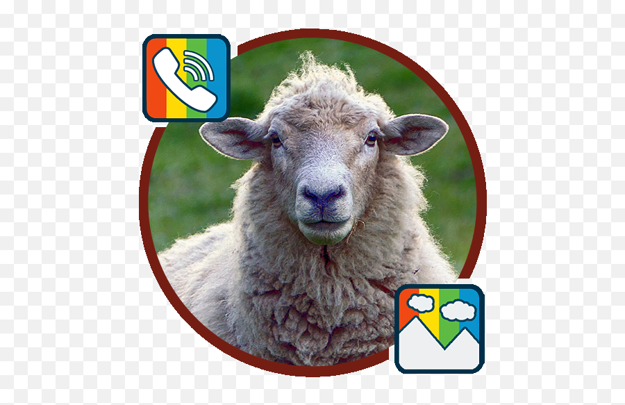 Sheep - Ringtones And Wallpapers U2013 Apps On Google Play Sheep Lamb Emoji,Pixel Sheep Emoticon