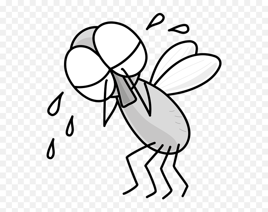 Free Photo Sad Bug Bee Cartoon Wings - Dot Emoji,Bee Emotions Sad