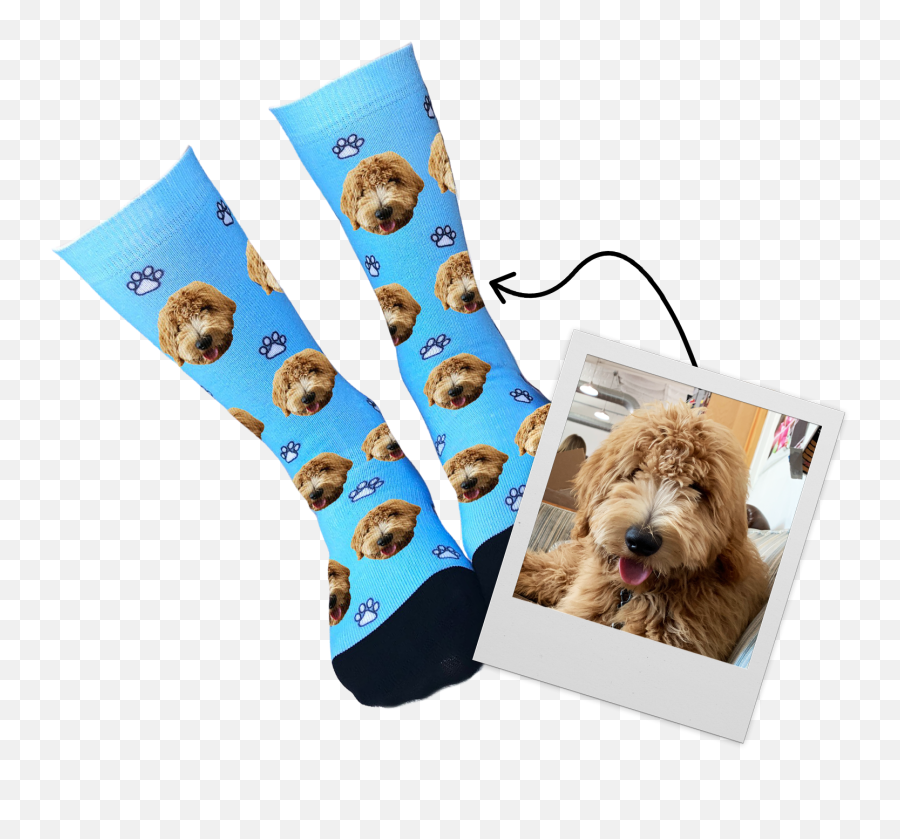 Custom Face Socks Socks With Faces On Them Sock Club - Dog Clothes Emoji,Girls Emoji Knee Socks