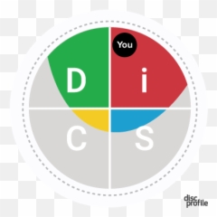 Disc Dot And Priorities Explained - Disc Work Of Leaders Emoji,Work Emotion Disk Comparison