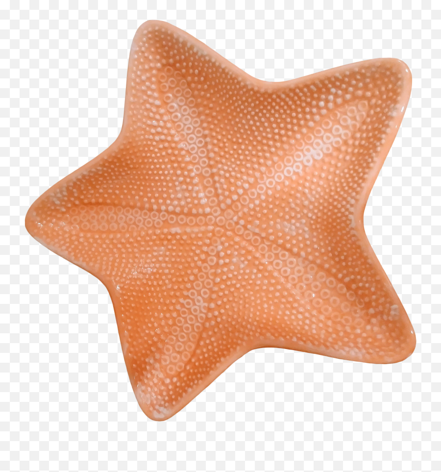 Large Coral Coastal Starfish Ceramic - Science City Emoji,Starfish Emoticon For Facebook