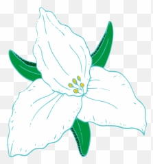 Animated Tiger Lily Flower Gif - Peepsburgh Emoji,Dancing Purple Flowers Emoticon Animated Gif