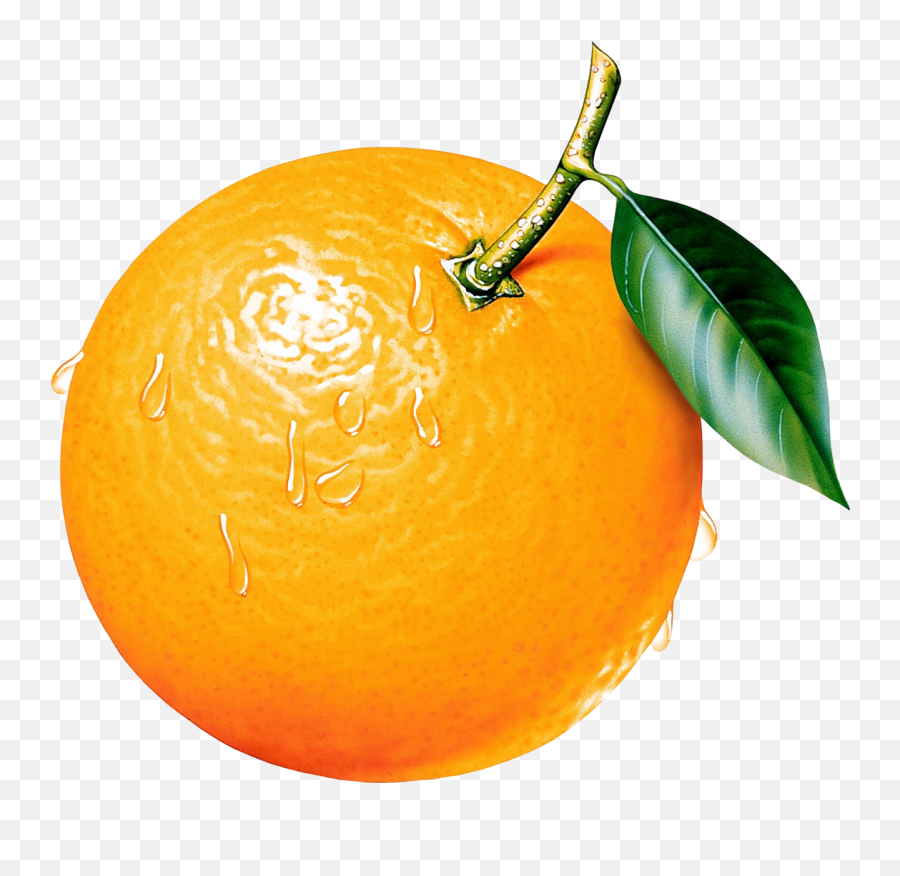 Free Fruit Orange Cliparts Download - Clip Art Orange Emoji,Orange Fruit Emoticon