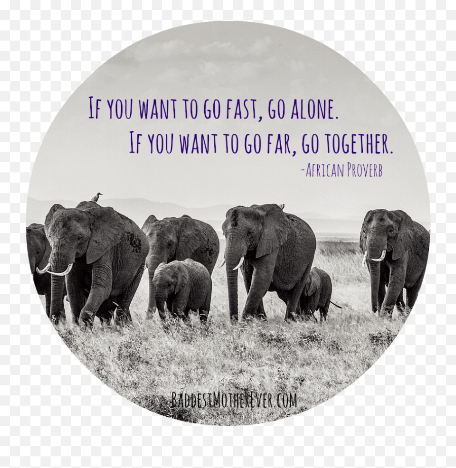Love Quotes With Elephants Hover Me - If You Want To Go Fast Go Alone If You Want To Go Far Go Together Banner Emoji,Elephant Touching Dead Elephant Emotion