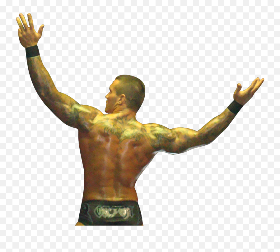 Randy Orton 2014 Png Download - Back Pictures Of Randy Randy Orton 2014 Back Emoji,How To Use Emoticons Cm Ss13