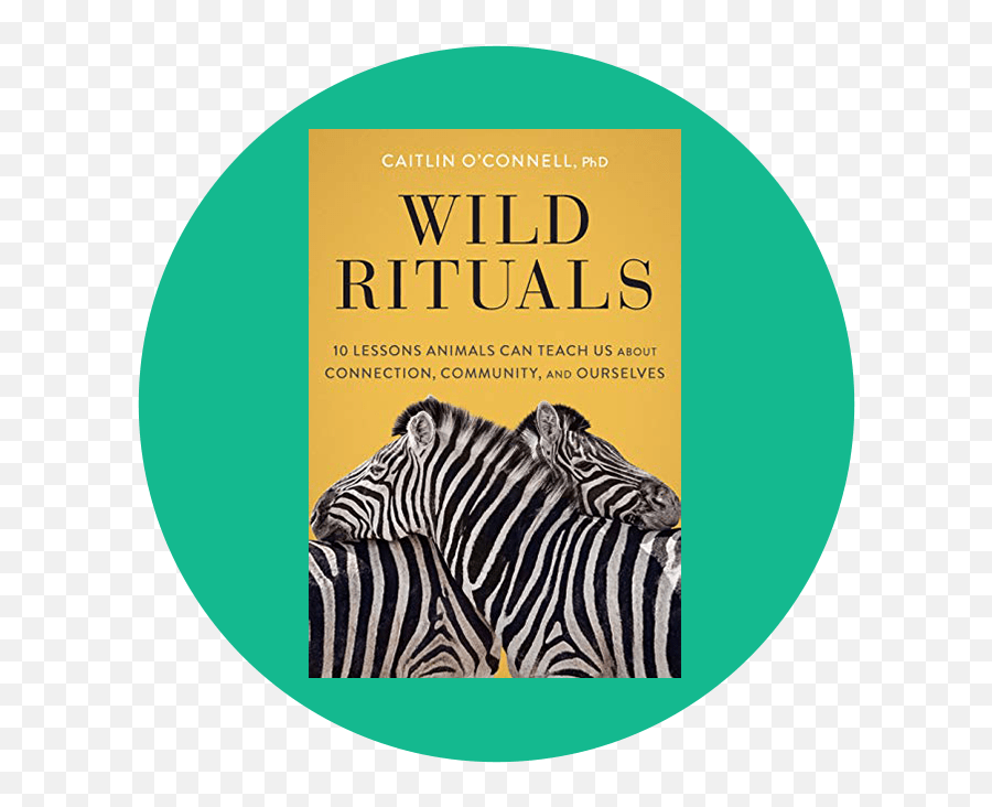 Self - Care Rituals The 12 Best Books And Tools Of 2021 Emoji,Hard To Show Emotions Quotes Self - Care Rituals The 12 Best Books And Tools Of 2021 Emoji,Hard To Show Emotions Quotes