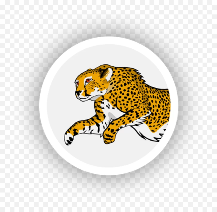 Extreme Spaghetti Minecraft Texture Pack Emoji,Leopard Emoji