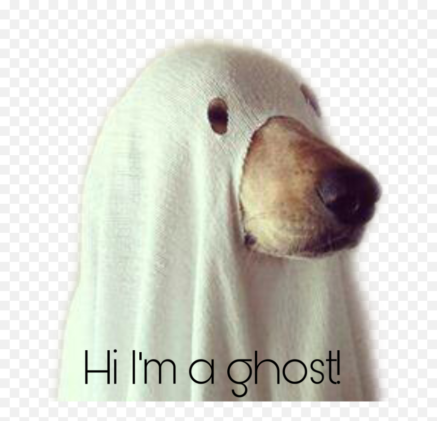 Dog Ghostdog Ghost Funny Funnyquotes - Dog Ghost Cute Emoji,Ghost Emoji Stuffed Animal