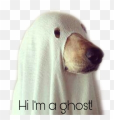 Dog Ghostdog Ghost Funny Funnyquotes - Dog Ghost Cute Emoji,Ghost Emoji Stuffed Animal