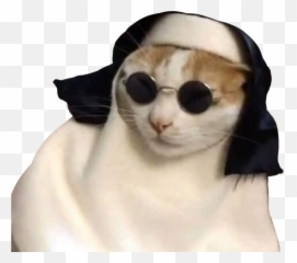 The Most Edited - Gatos Vestidos De Monjaa Emoji,Emojis Gatitos