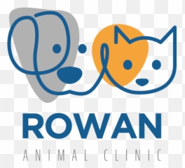 New Kitten Information - Sun American Mortgage Emoji,Cat Ears Sense Your Emotion