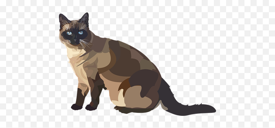 1000 Free Eyes U0026 Cat Vectors - Pixabay Siamese Cat Transparent Png Emoji,Cat Emotions Chart