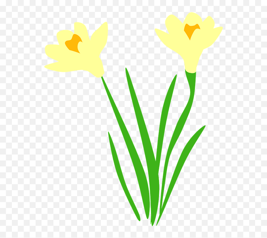 Daffodil Clipart Leek Daffodil Leek - Transparent Daffodil Vector Emoji,Leek Emoji