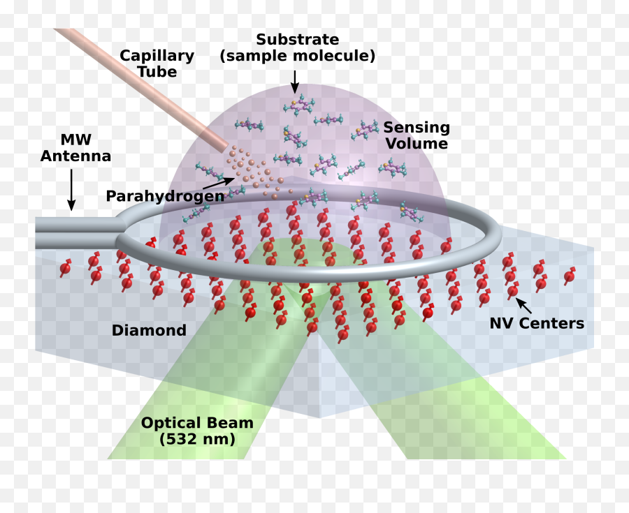 Micron - Spectroscopy Nmr Emoji,Umd Testudo Emoticon