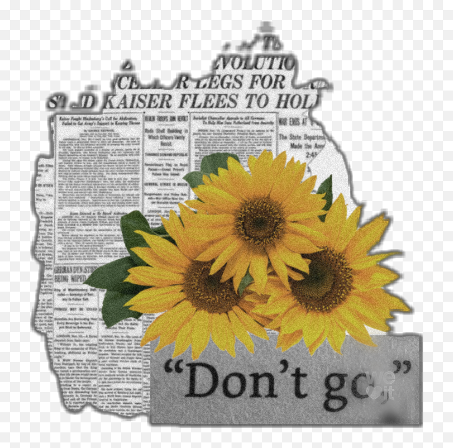 Largest Collection Of Free - Toedit Effe Stickers Sunflower Thank You Stickers Emoji,Hold My Flower Emoji