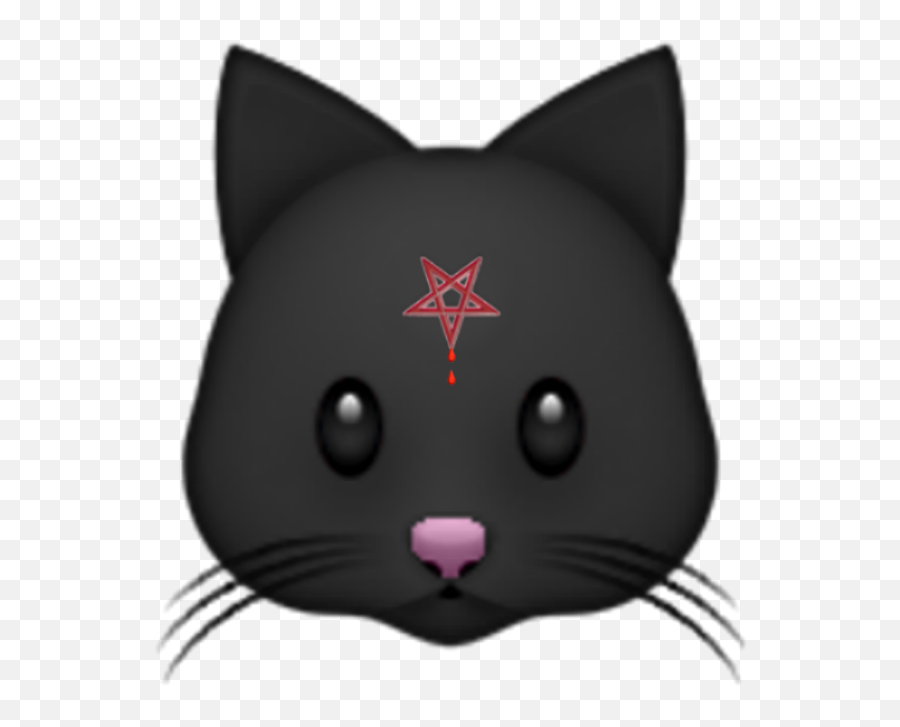 Emoji cat. ЭМОДЖИ коты. Эмодзи кошка. Эмодзи черная кошка. ЭМОДЖИ черный кот.