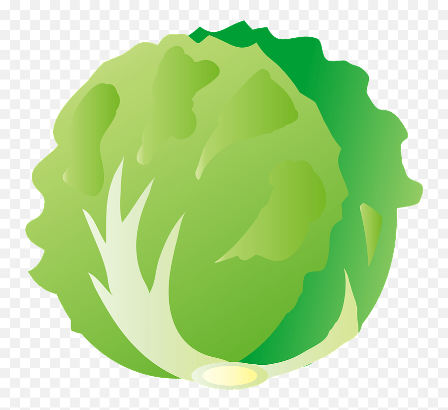 Lettuce Clipart - Lettuce Clipart Png Emoji,Lettuce Emoji