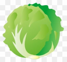 Lettuce Clipart - Lettuce Clipart Png Emoji,Lettuce Emoji