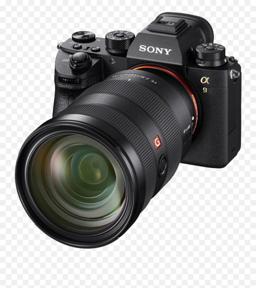 Dslr Vs Mirrorless When Digital Cameras Were Introduced Emoji,Slow Shutter Speed Photogrphy With Emotion Dslr Vs Mirrorless When Digital Cameras Were Introduced Emoji,Slow Shutter Speed Photogrphy With Emotion