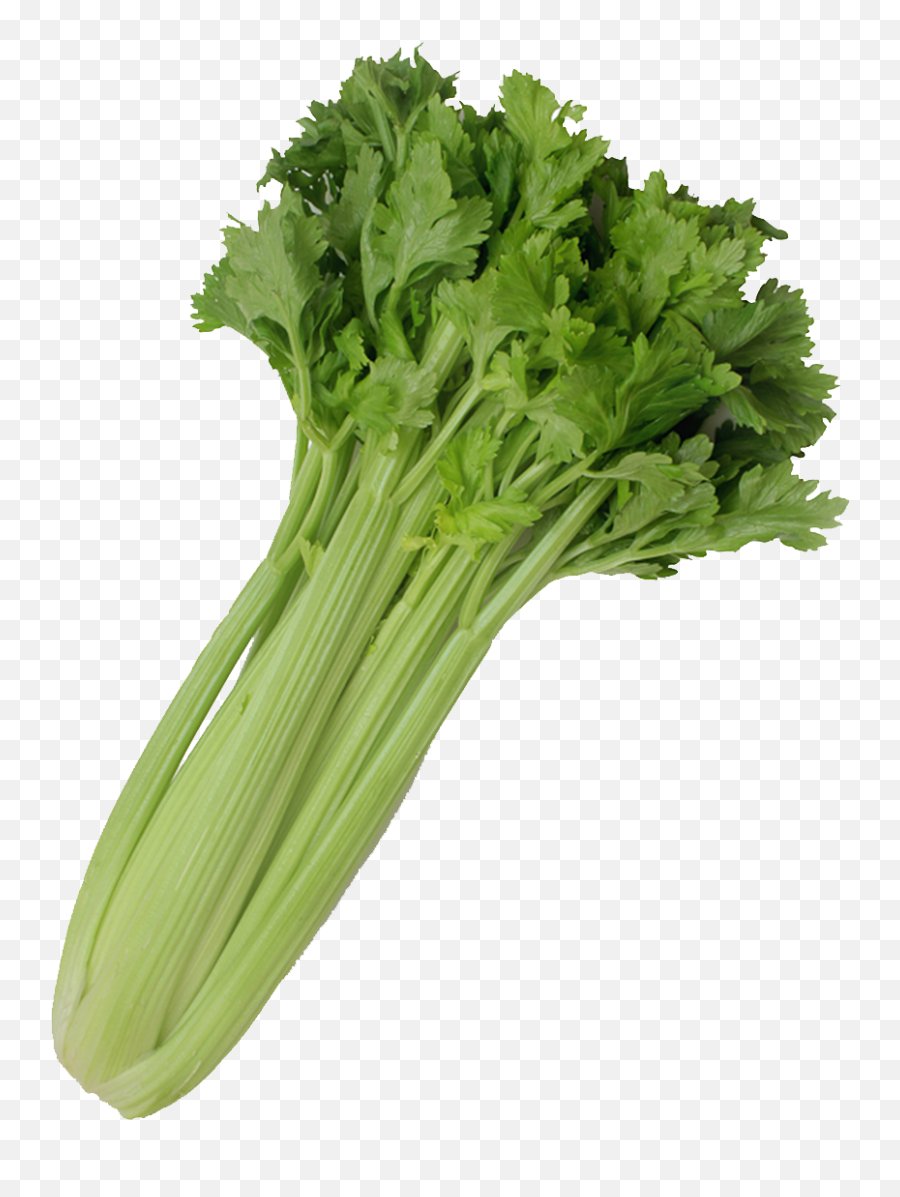 Celery - 10u0027s Tc Ontario Student Nutrition Services Emoji,Nutrition Emoji