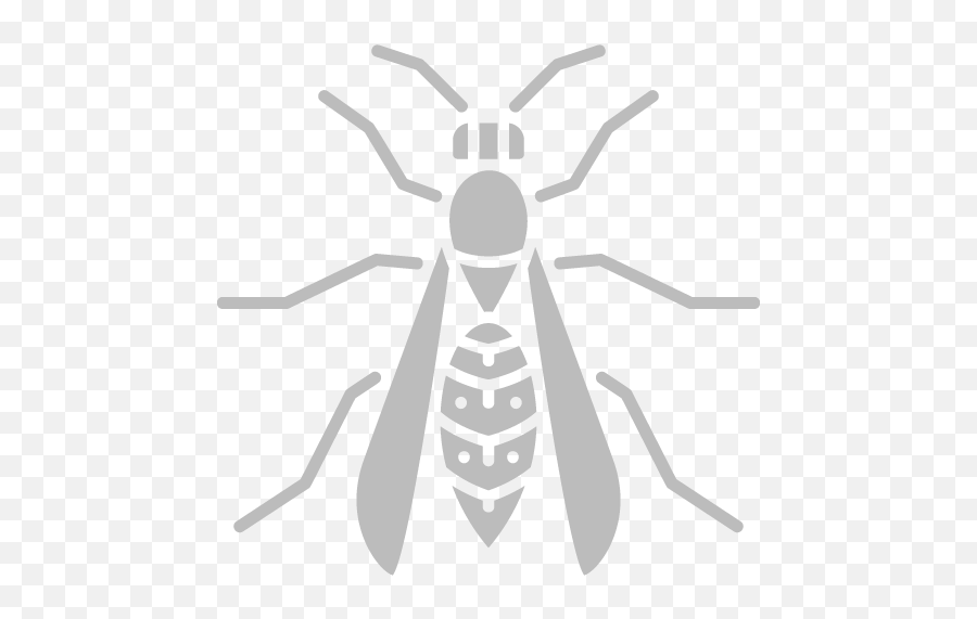 Pest Control U0026 Exterminator Austin Tx The Bug Master Emoji,Facebook Mosquito Emoji