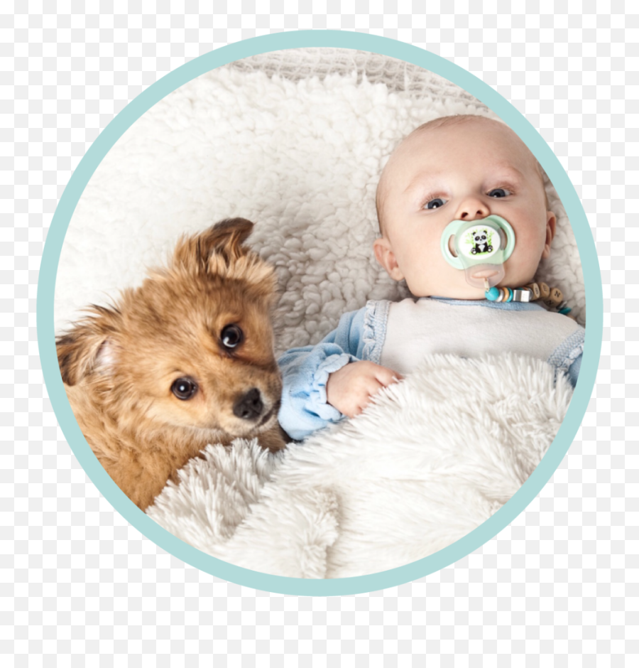 Dogs And Babies - Baby Looking Curiously At Things Emoji,Dog Tail Emotions