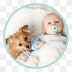Dogs And Babies - Baby Looking Curiously At Things Emoji,Dog Tail Emotions