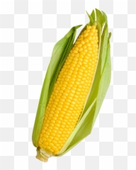 The Most Edited - Vegetables Corn Emoji,Corncob Emoji