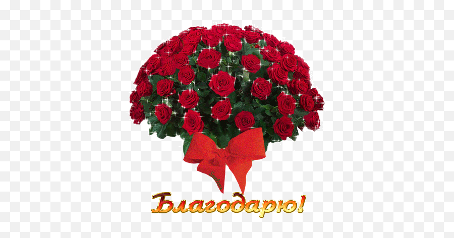 810 Idee Su Amore Amore Frasi Du0027amore Citazioni Du0027amore - Basket Of Rose Flower Emoji,Codifica Emoticon Whatsapp