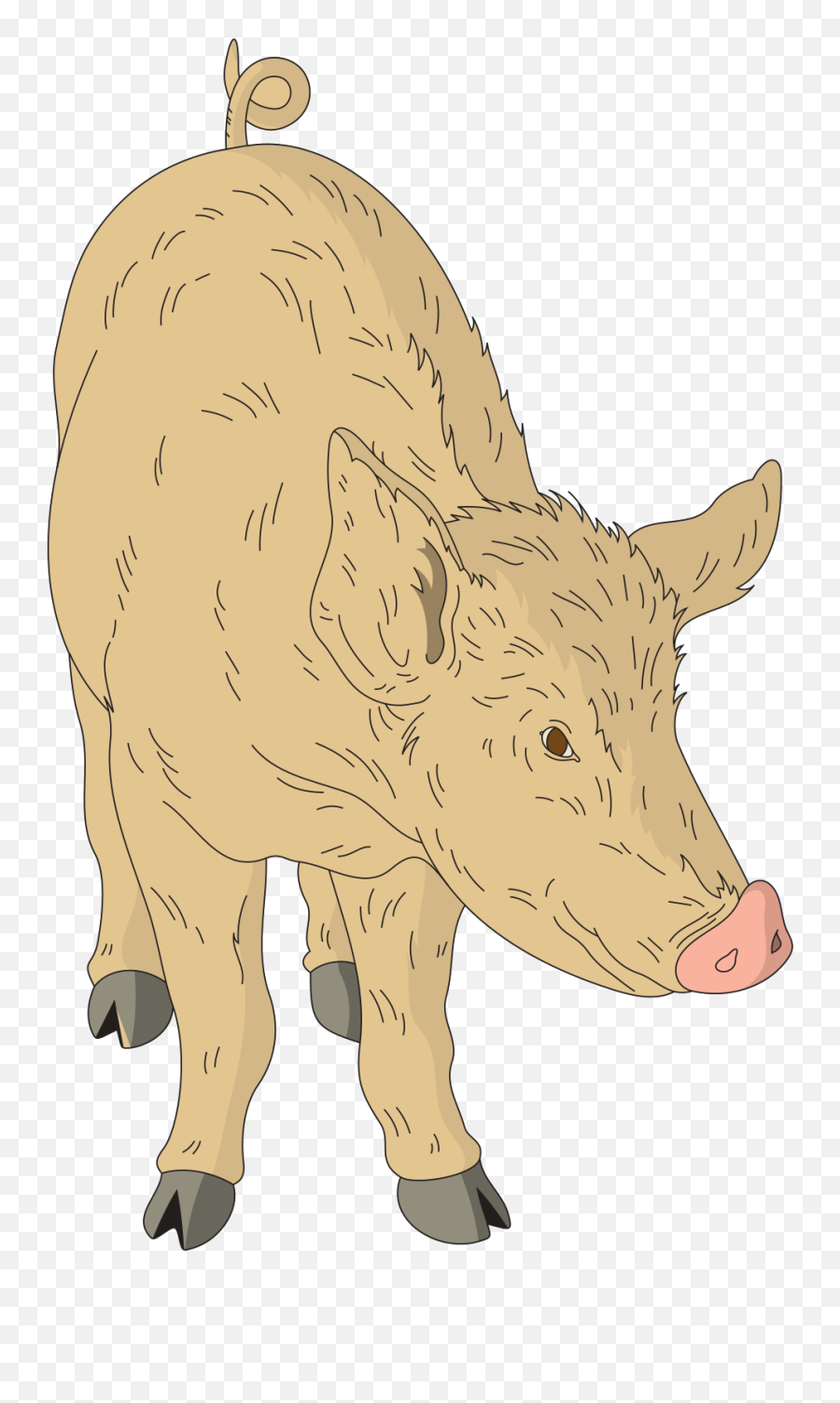 Hairy Pig Svg Vector Hairy Pig Clip Art - Svg Clipart Hairy Hog Clipart Emoji,Pig Emoticon Full Text