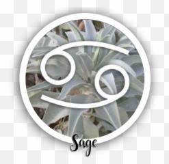 Herbal Magic - Aluminium Emoji,Leo Feeling Piper's Emotions