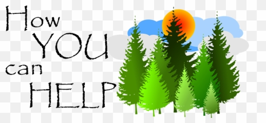 How You Can Help U2013 Shinrin Reiki - French Vocabulary Flashcards Emoji,William Rand Reiki Emotion