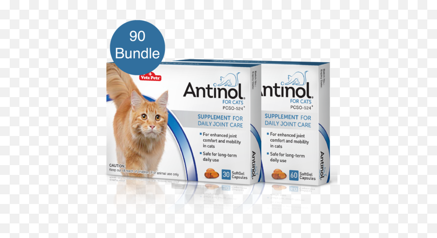 Antinol For Cats - Cat Supply Emoji,Cats Emotions