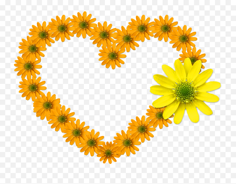 Download Free Photo Of Heartflower Heartbloomfeelings - Lovely Emoji,Emotion Card