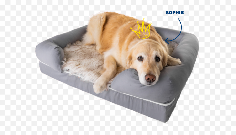 Orthopedic Dog Bed U0026 Waterproof Dog Blanket Puprug By Pawcom Emoji,Dog Relaxing In Recliner Emotions