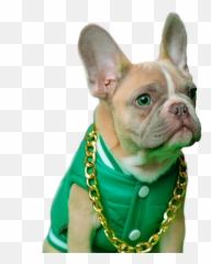 Discover Trending Dier Stickers Picsart Emoji,Emoticon French Bulldog