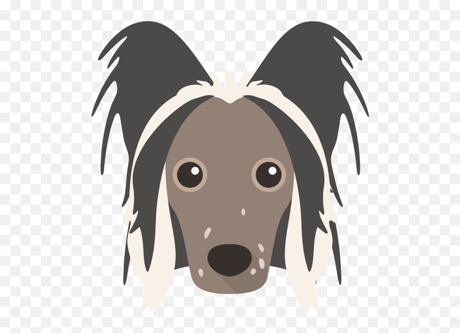 Create A Tailor - Made Shop Just For Your Hairless Chinese Crested Emoji,Needy Face Emoji